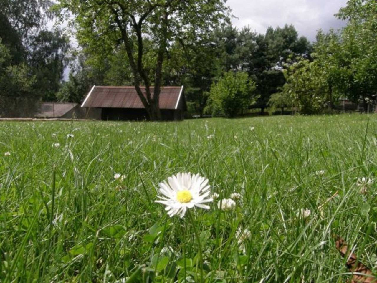 Ganze Ferienwohnung, Raus ins Grüne Blankenförde in Mirow, Mecklenburg-Strelitz