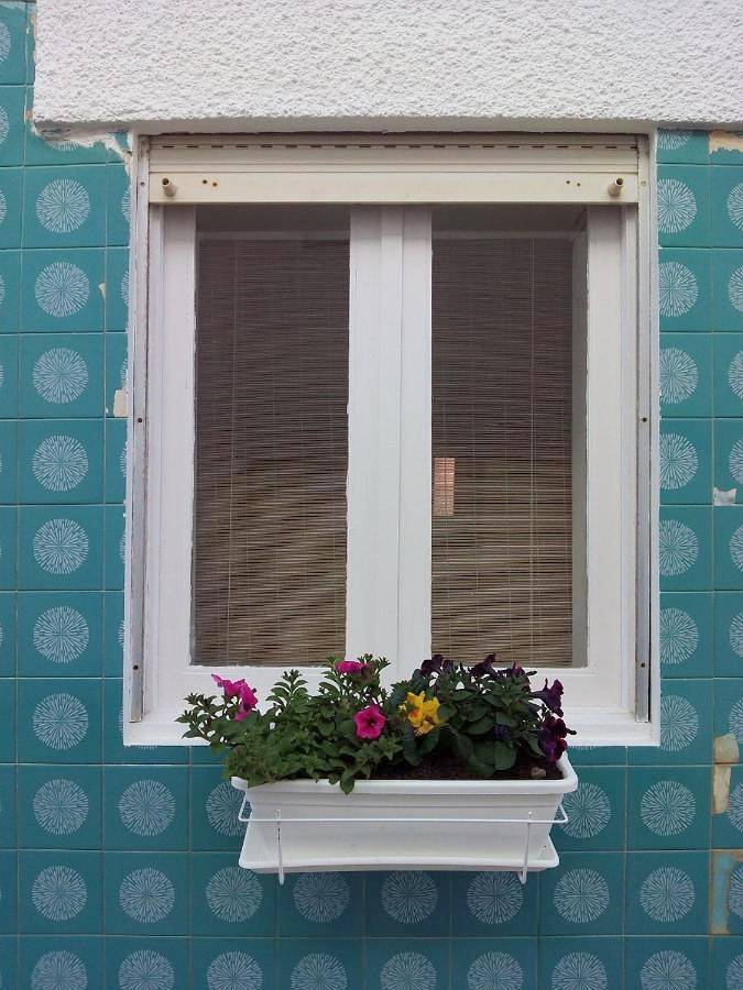 Location de vacances pour 5 personnes, avec jardin et vue, animaux acceptés dans Vila Chã - 2