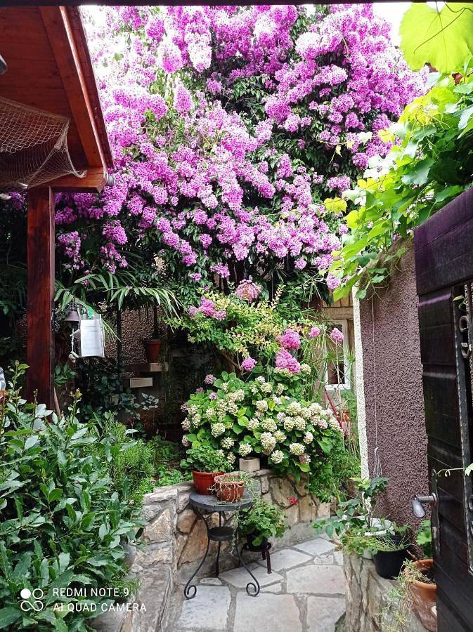 BnB für 2 Personen, mit Balkon und Terrasse sowie Garten und Ausblick auf Cres