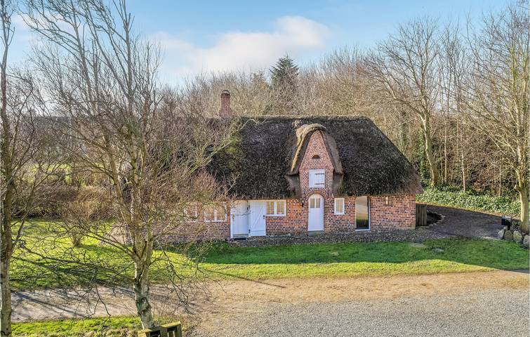 Ferienhaus für 4 Personen, mit Terrasse und Garten in Højer - 2