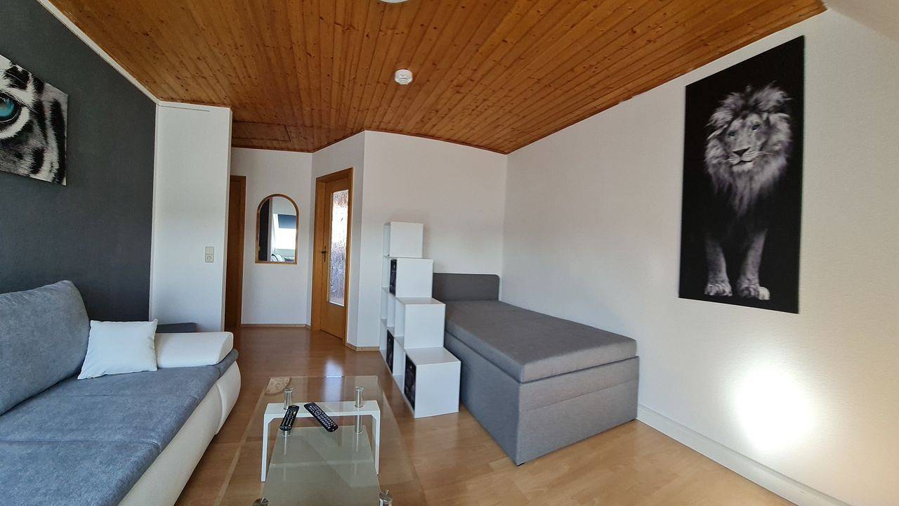 Ganze Ferienwohnung, Ferienwohnung für 3 Personen (50 m²) in Altenburg in Altenburg, Ostthüringen