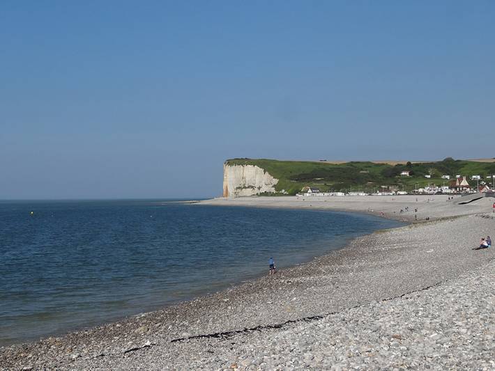 Gîte pour 8 personnes, avec terrasse et jardin à Saint-Martin-aux-Buneaux - 4