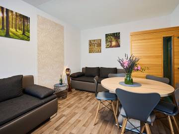 Ferienwohnung für 6 Personen, mit Sauna und Balkon in Harrachov