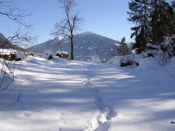 Ferienwohnung für 7 Personen in Grins, Tiroler Oberland, Bild 2