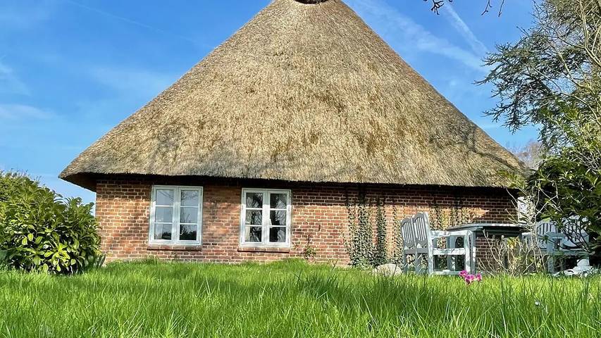 Ferienhaus für 4 Personen in Dörphof - 4