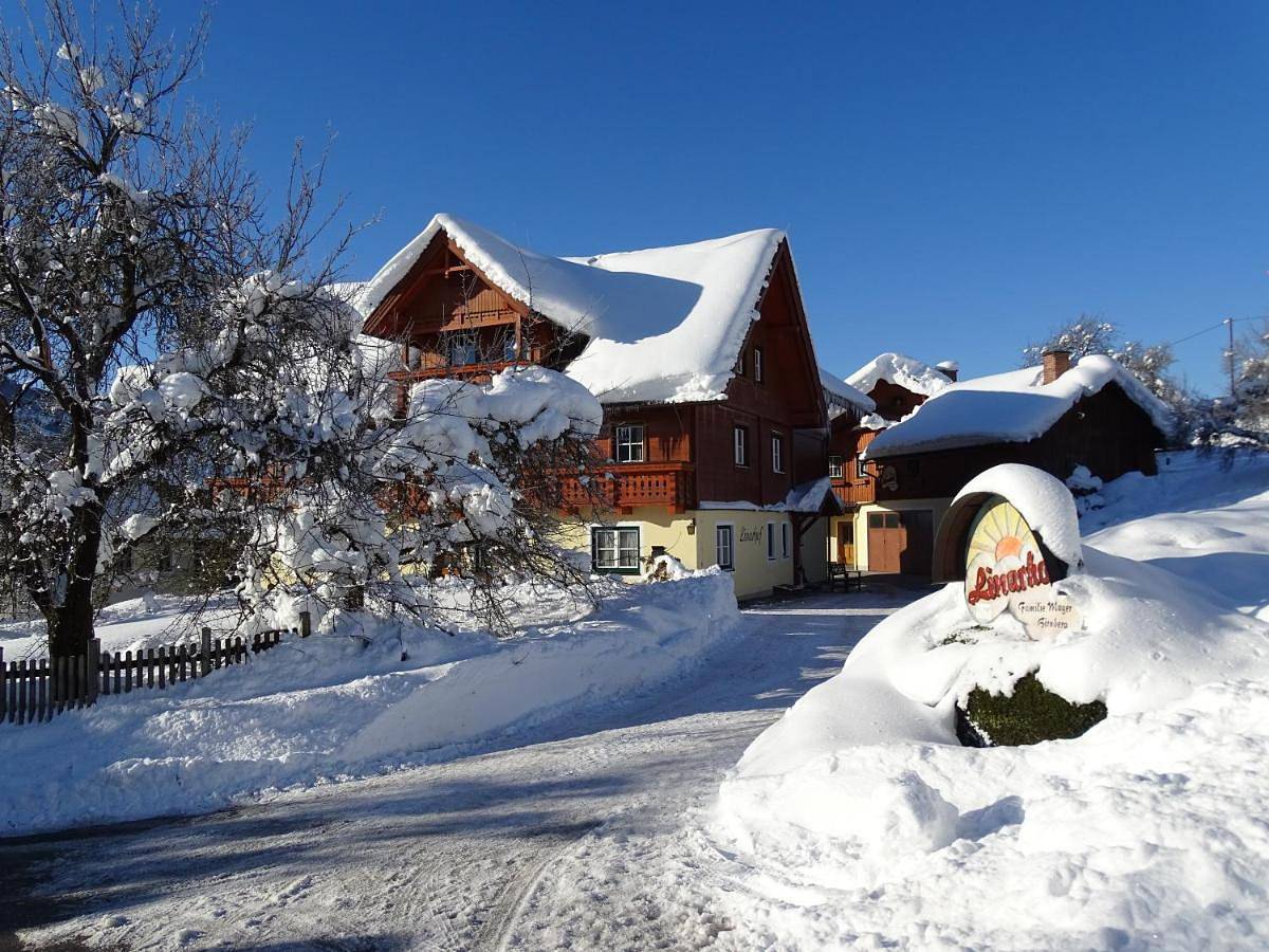 Ganze Wohnung, One-Bedroom Apartment in Haus, Schladming-Dachstein