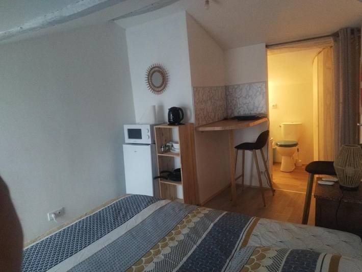 Gîte pour 2 personnes, avec vue, animaux acceptés à Machecoul - 4