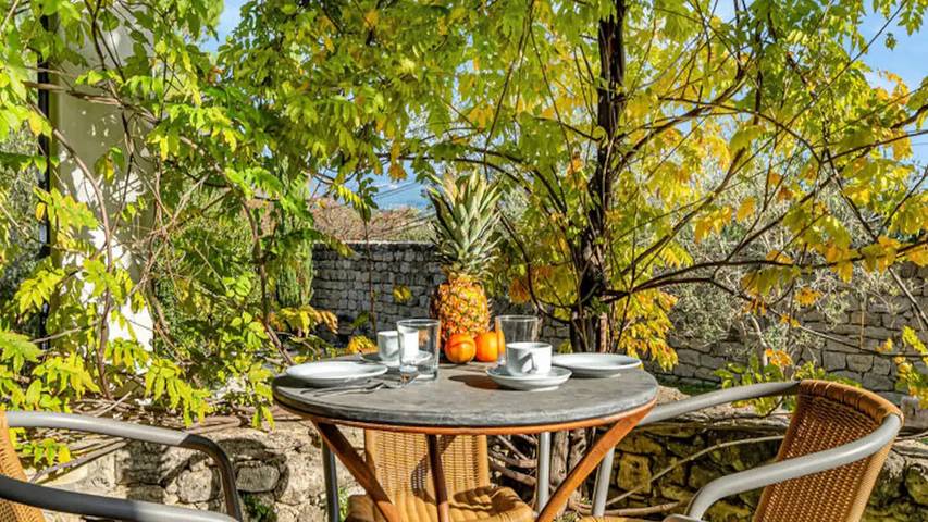 Appartement de vacances pour 5 personnes, avec piscine et jardin, animaux acceptés - 1