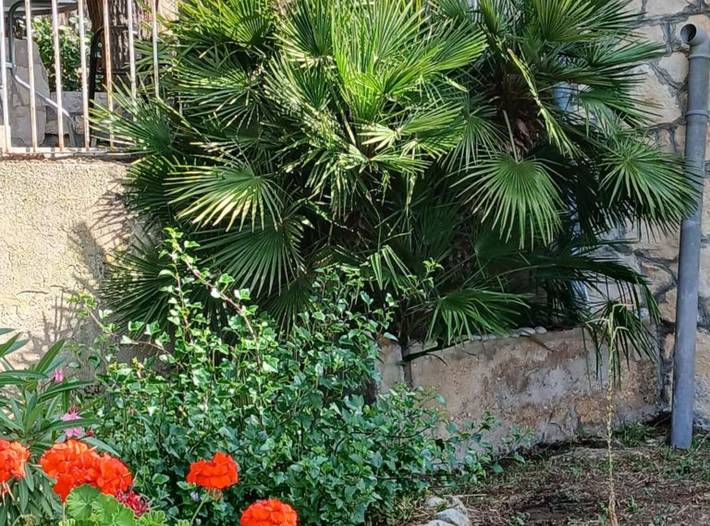 Ganzes Studio, Studio für 2 Personen mit Meerblick in Rukavac, Split-Dalmatien