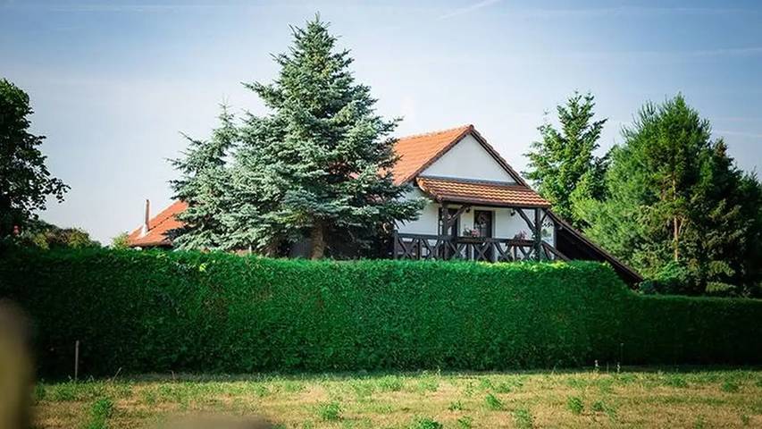 Ferienwohnung für 5 Personen, mit Balkon und Garten in Byhleguhre-Byhlen - 2