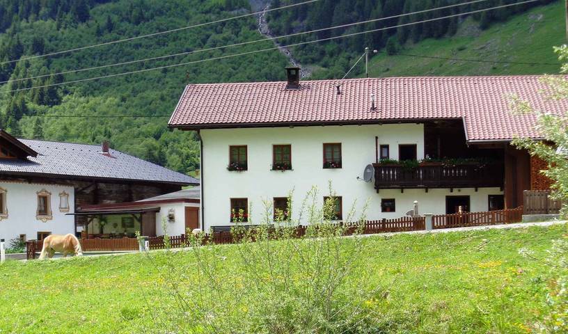 Bauernhof für 5 Personen, mit Balkon und Garten, mit Haustier in Österreich - 2
