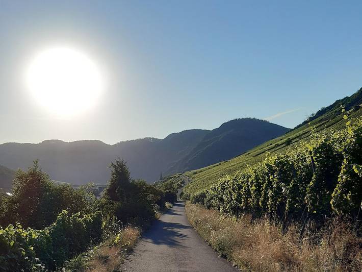 Ferienwohnung für 2 Personen, mit Balkon in Ediger-Eller - 3