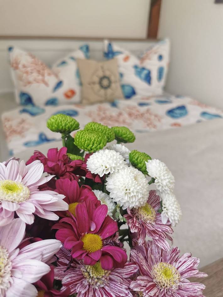 Ferienwohnung für 4 Personen in Wolgast - 3