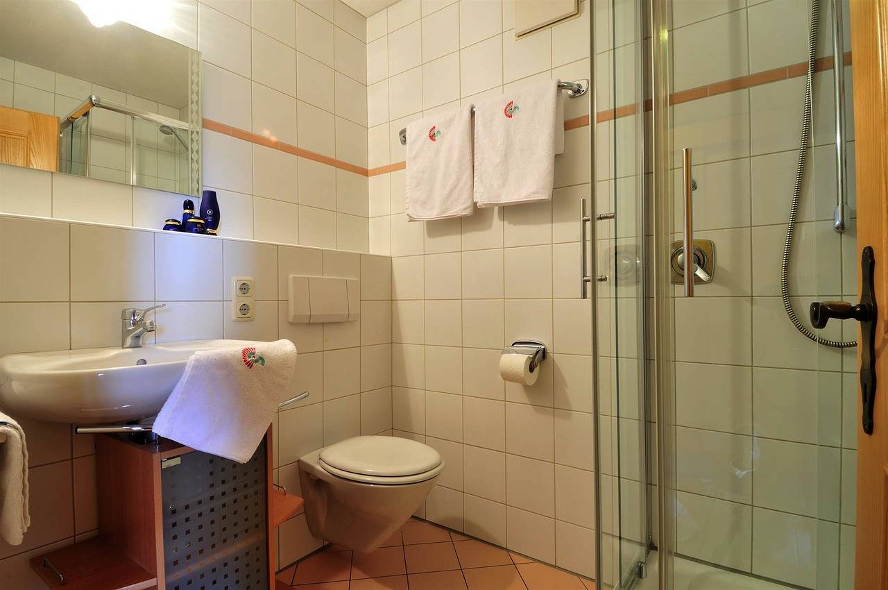 Ganze Ferienwohnung, Fewo 1 Dachsbau in Balderschwang, Bayerisch Schwaben