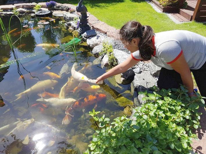 BnB für 3 Personen, mit Garten in Dänemark - 2