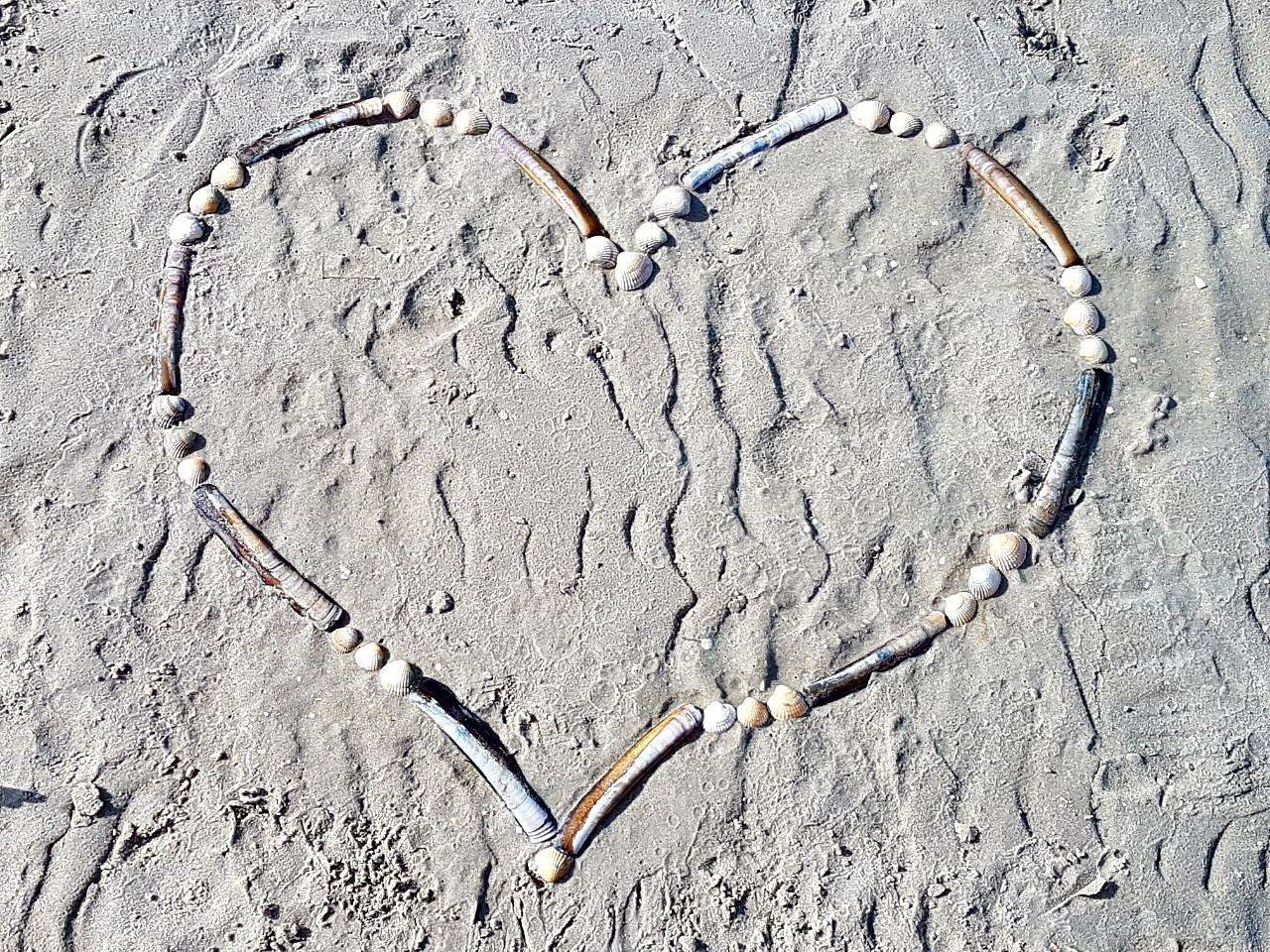 Ganze Ferienwohnung, Sternschnuppe in St. Peter-Ording, Eiderstedt