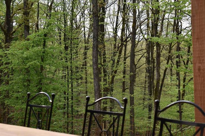 Gîte pour 6 personnes, avec vue et jardin à Philippeville - 4