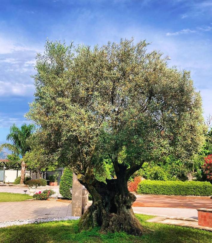 Appartamento per 3 persone, con Balcone e Terrazza nonché Giardino e Panorama a Poggiomarino