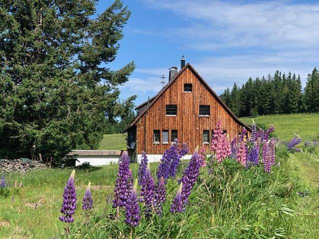 Villa für 12 Personen, mit Pool und Ausblick sowie Garten und Sauna, mit Haustier im Schwarzwald