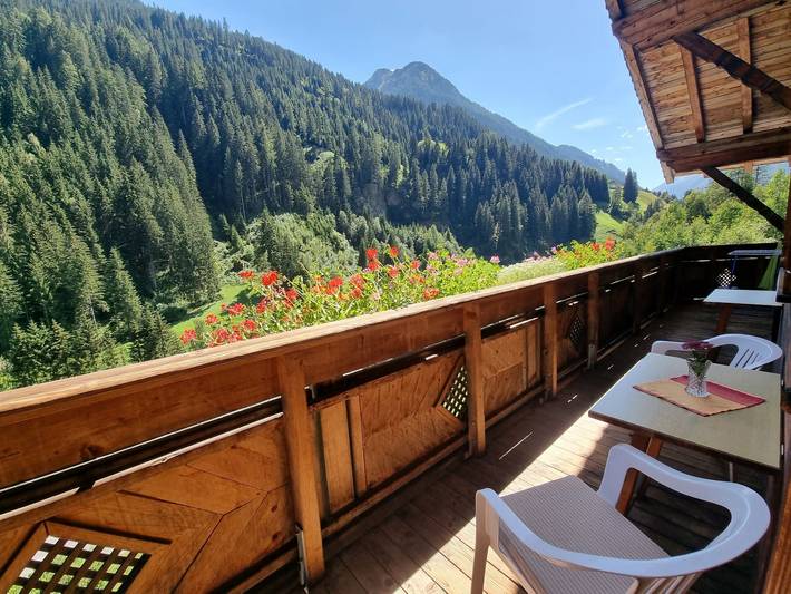 Ferienwohnung für 7 Personen, mit Balkon und Garten in Kappl - 3