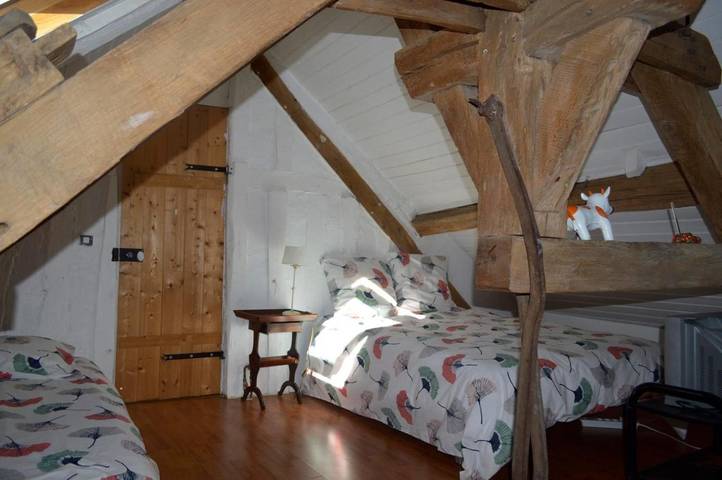 Gîte pour 3 personnes, animaux acceptés à Saint-Jean-le-Blanc - 2