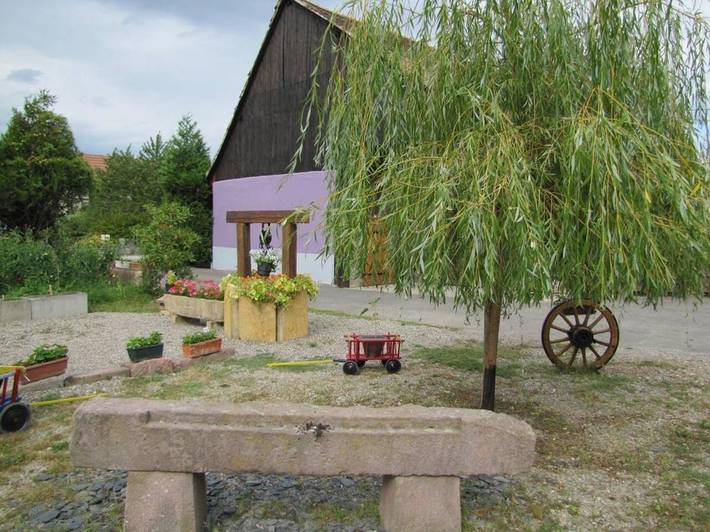 Gîte pour 5 personnes, avec jardin et vue dans Porte-du-Ried - 3