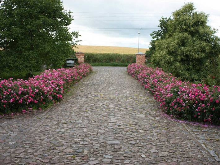 Bauernhaus für 6 Personen, mit Ausblick und Garten an der Ostsee - 2