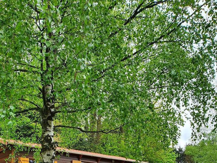 Chalet pour 6 personnes, avec bassin pour enfant en Haute-Loire - 2