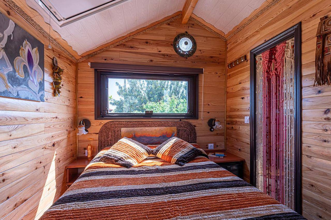 Casa del Árbol - Tierra de Arte in San Jorge, Provincia de Castellón