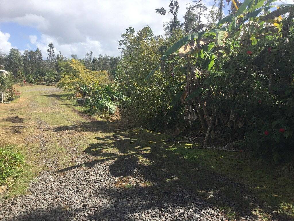 Ganze Wohnung, Convenient comfortable studio in peaceful tropical forest G7 in Kopua Farm Lots, West Puna