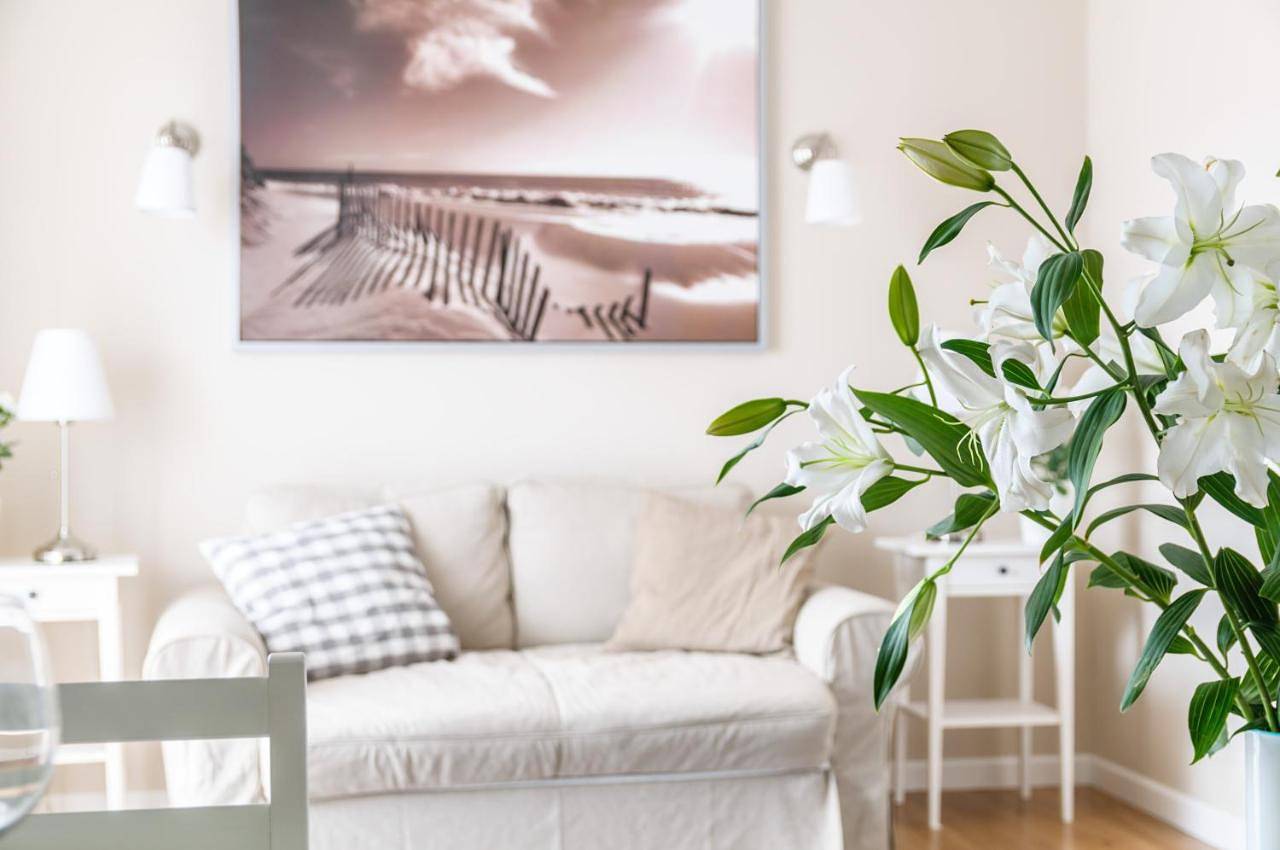 Cały apartament, Europa22 "Tu i Teraz" Apartament Przytulny Centrum Miasta Tomaszów Maz Parking gratis Expresowe zameldowanie od 13 in Tomaszów Mazowiecki, Województwo łódzkie