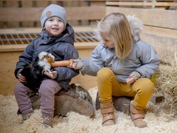 Bauernhof für 5 Personen, mit Garten und Sauna sowie Pool, kinderfreundlich am Mittelrhein