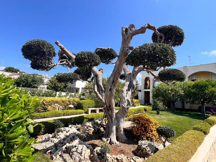 Chambre d’hôte pour 4 personnes, avec terrasse et vue à Bari - 3