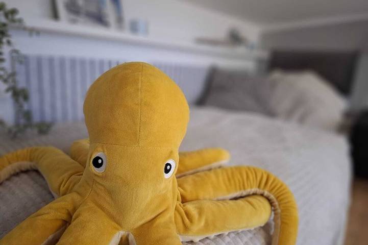 Ferienhaus für 5 Personen in Groß Kordshagen - 3