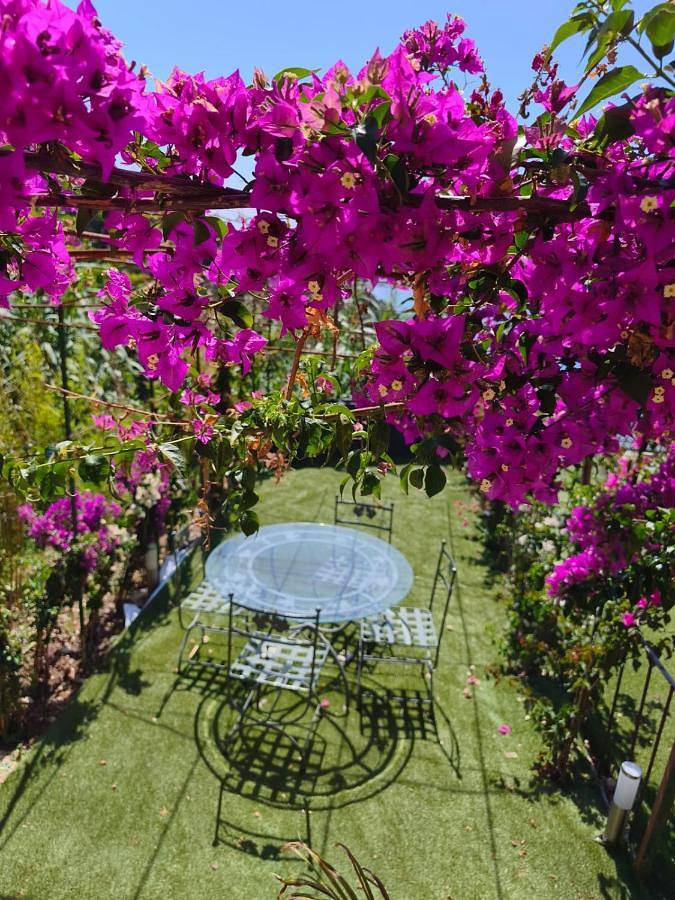 Villa pour 3 personnes, avec Balcon et Terrasse ainsi que Jardin et Vue à Roquebrune-Cap-Martin