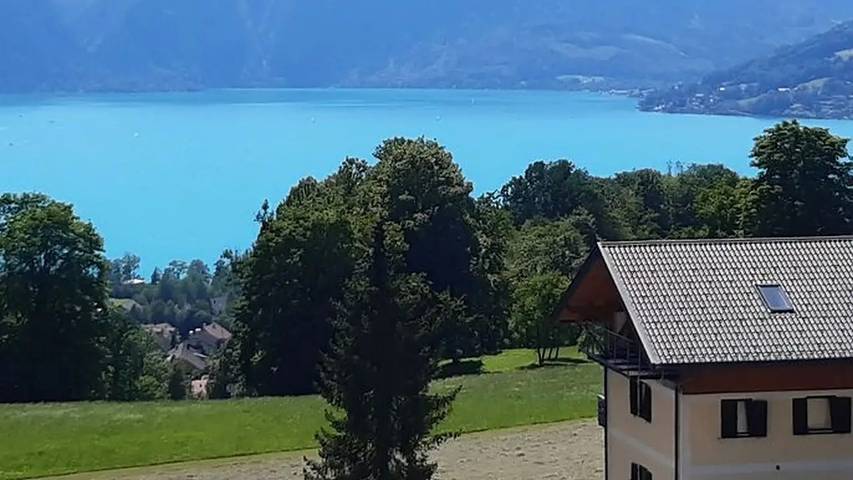 Ferienwohnung für 4 Personen, mit Garten und Terrasse, mit Haustier in Steinbach am Attersee