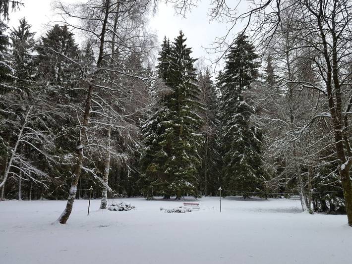 Ganze Ferienwohnung, Ferienwohnung Schulze-Falck - Ferienwohnung in Benneckenstein, Oberharz am Brocken