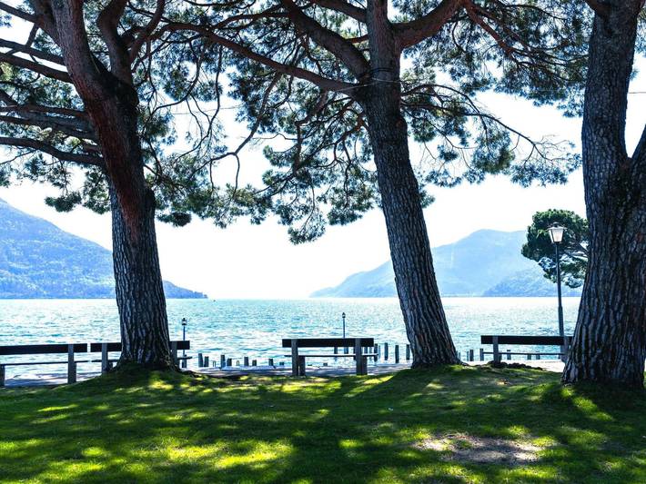 Ferienwohnung für 6 Personen, mit Balkon, mit Haustier in Brissago - 3