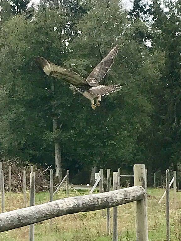 Luxuriös eingerichtetes Haus auf dem Land in North Cowichan, Cowichan Valley Regional District
