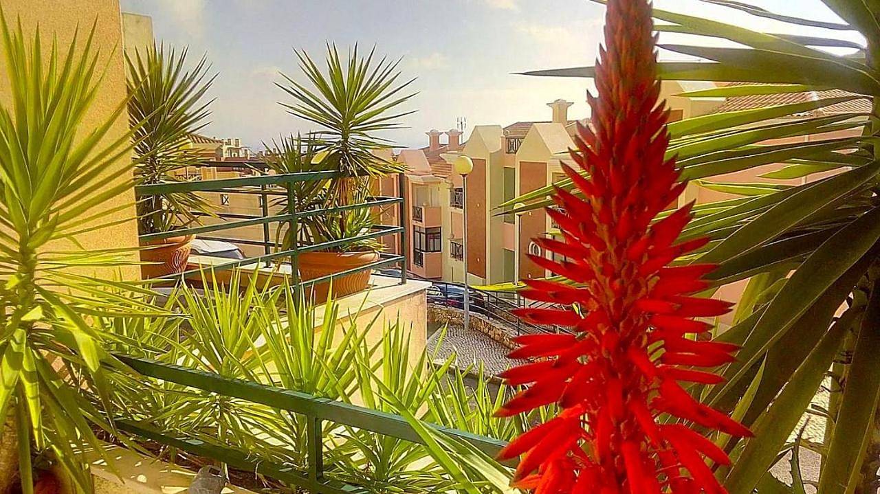 Sesimbra Oceanview Luxury Duplex with Pool & Gym near Lisbon in Praia do Ouro, Sesimbra (Castelo)