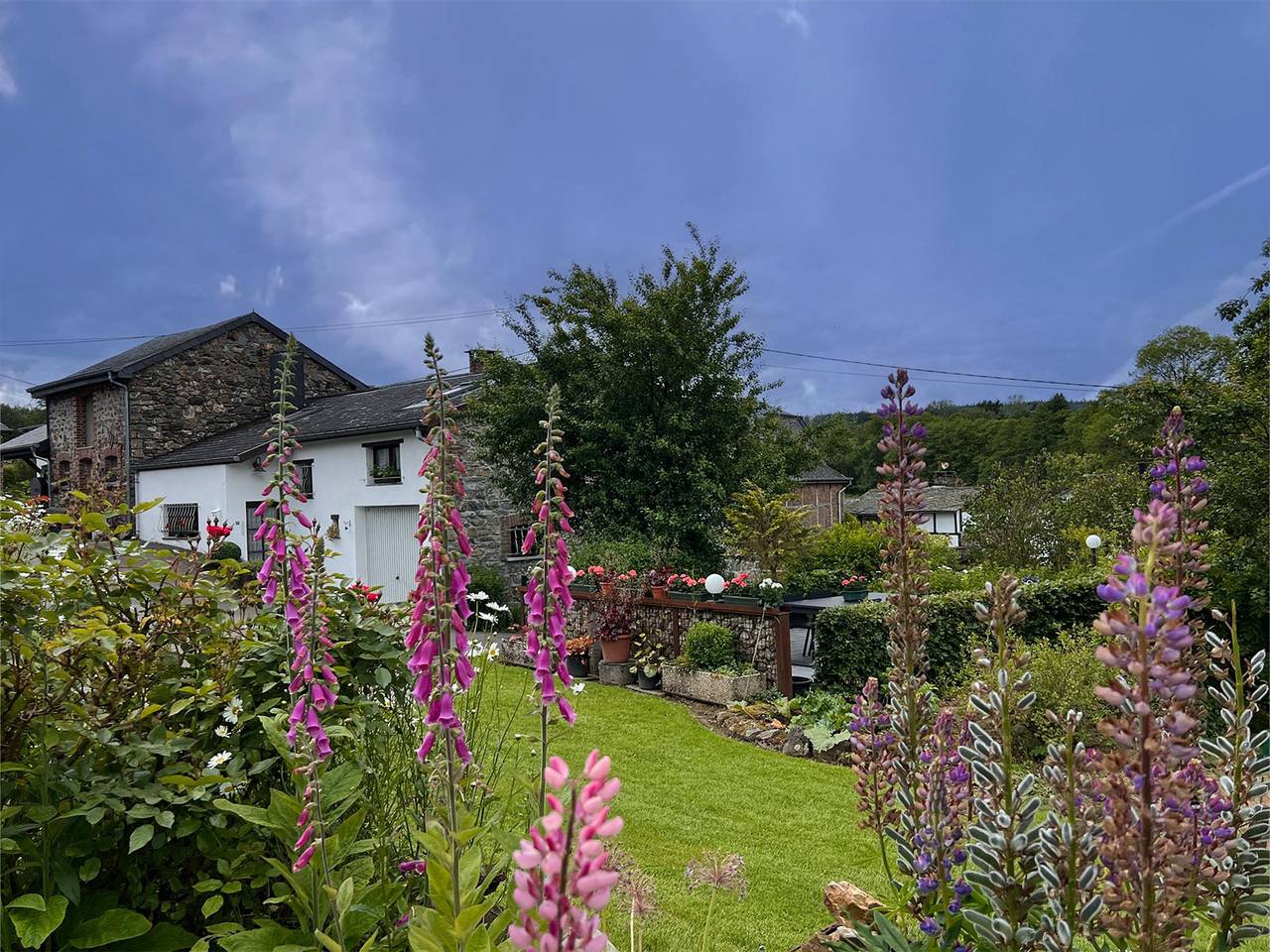 Vakantiehuis met houtkachel, ruime tuin & Bbq in Trois-Ponts, Luik en omgeving
