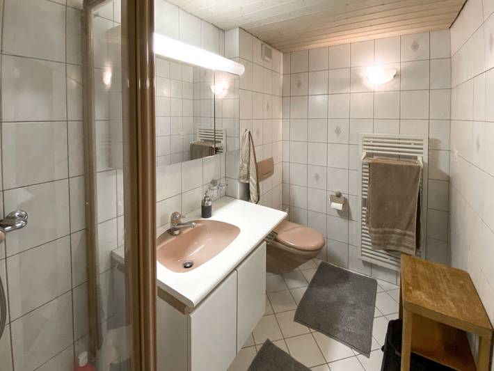 Ganze Wohnung, Chalet Jungtalblick Drieri in Grächen, Walliser Alpen