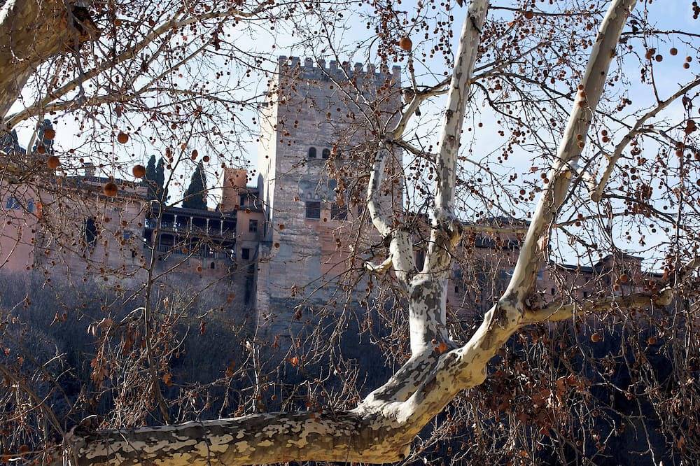 Appartamento vacanze a Granada a partire da 106€ a notte