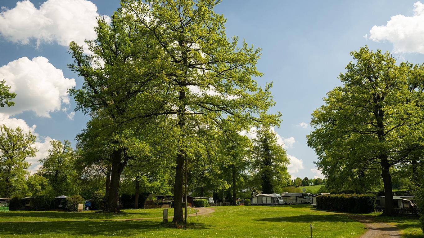 Ganze Ferienwohnung, Camping im Eichenwald - Camping - Chalets in Mittelhof, Altenkirchen & Umgebung