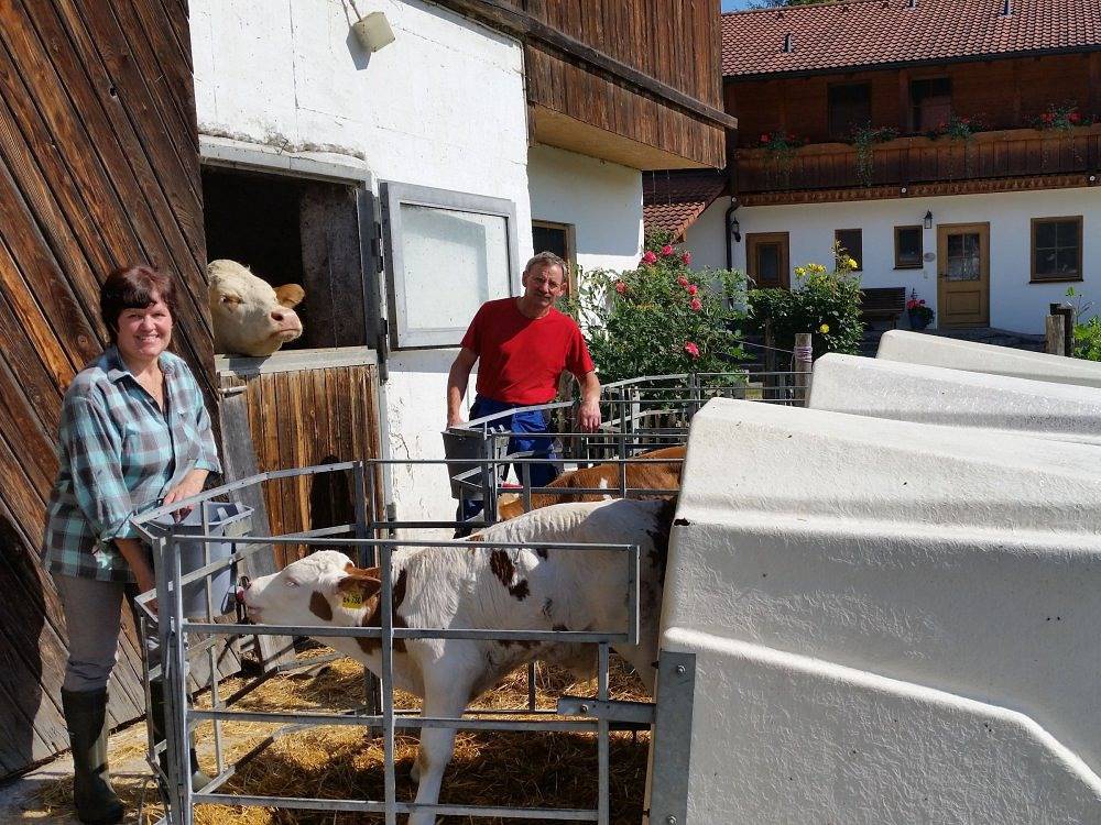 Doblerhof - Gänseblümchen (Doppelhaushälfte, 2 Etagen) in Höslwang, Chiemsee