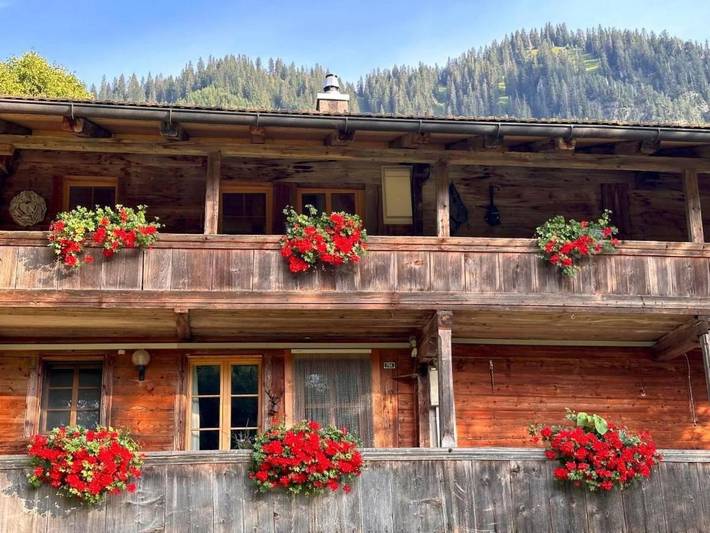 Gîte pour 4 personnes, avec jardin, animaux acceptés à Habkern - 2