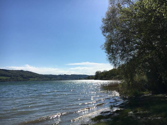 Ferienwohnung für 3 Personen, mit Sauna und Garten, kinderfreundlich in Gaienhofen - 2