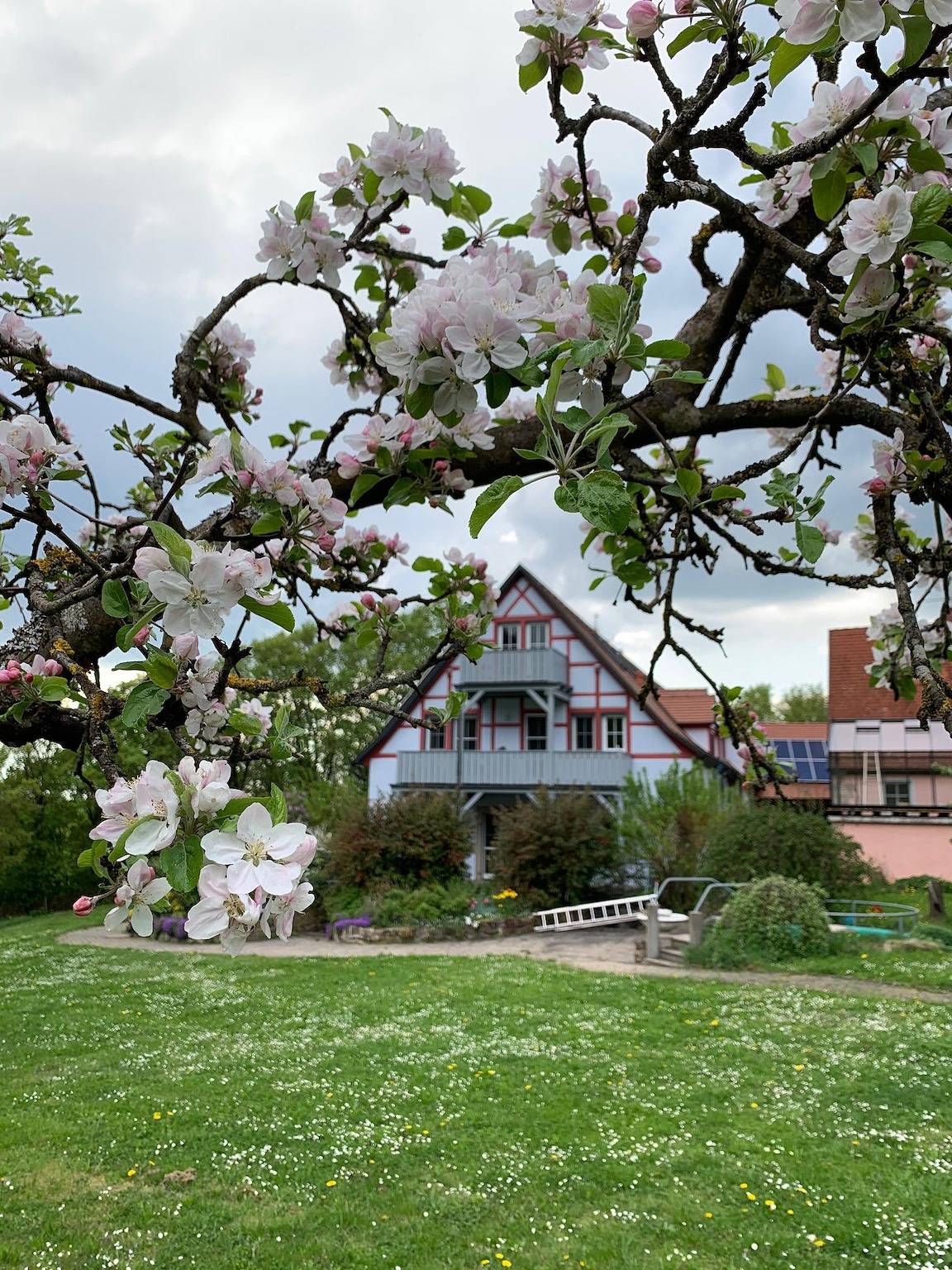 Pension im Vorhof - Ferienwohnung "Rosmarin" (50qm) für vier Personen in Windelsbach, Taubertal