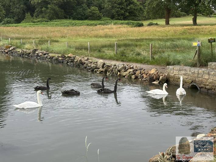 Gîte pour 10 personnes, avec jardin dans Plage De Saint Cado Belz - 3