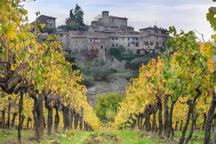Chambre d’hôte pour 3 personnes, avec jardin et vue à Greve In Chianti - 3